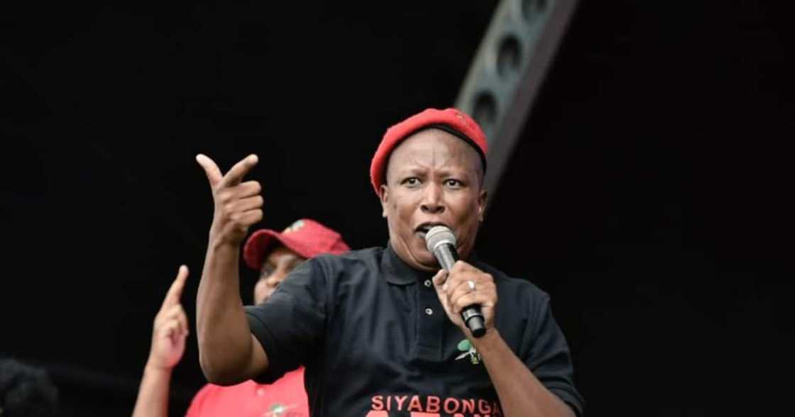 Julius Malema, ,EFF Julius Malema, ,EFF
