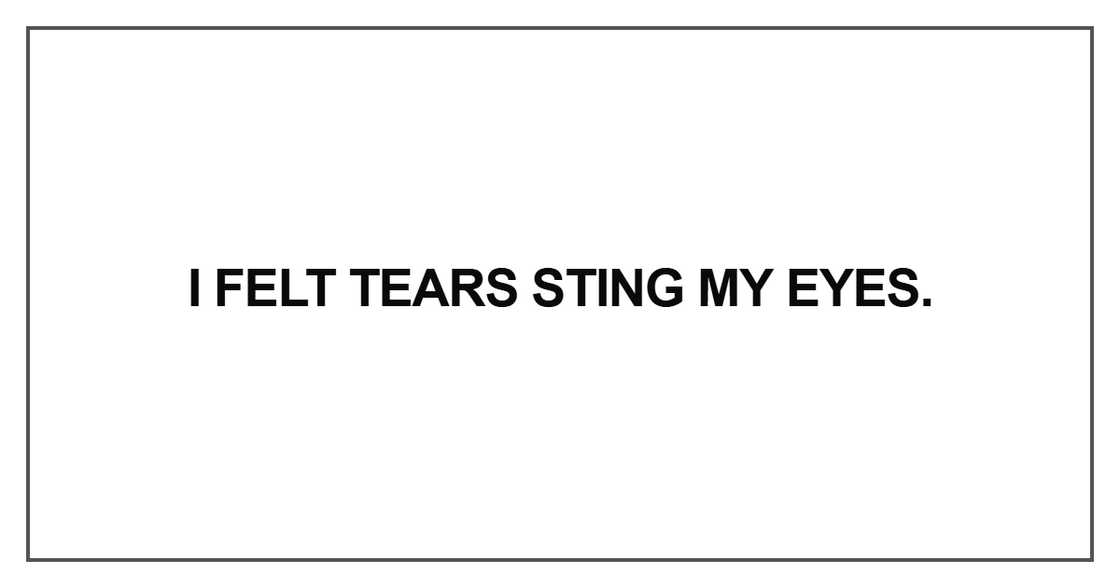 I felt tears sting my eyes I felt tears sting my eyes