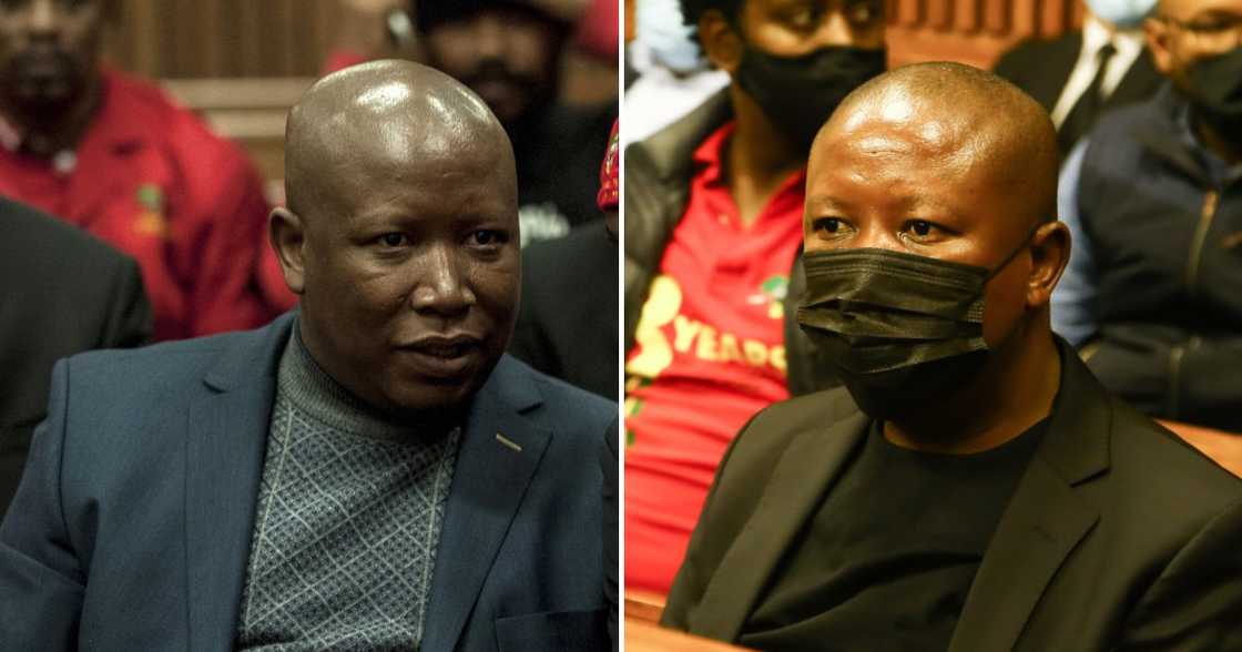 EFF leader Julius Malema EFF leader Julius Malema