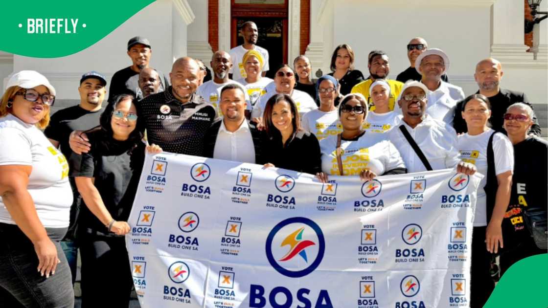 The merger between the two parties follows a similar plan involving BOSA, Rise Mzansi and the Good Party The merger between the two parties follows a similar plan involving BOSA, Rise Mzansi and the Good Party