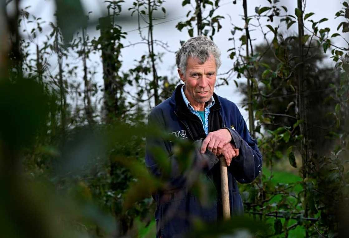 Farmer Pieter Glas is among many who says he feels as remote from the Dutch government as his Eikemaheert farm is from the seat of power in The Hague