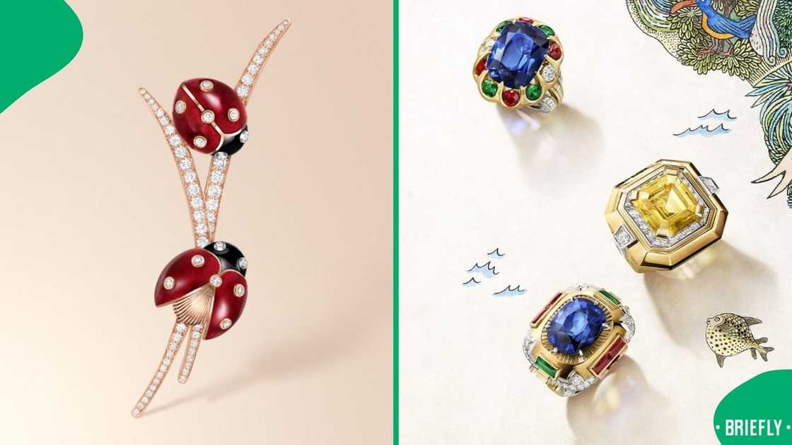 Van Cleef and Arpels jewels.