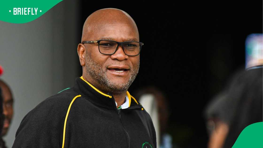 The South African government wants people to stop speculating about Nathi Mthethwa's death