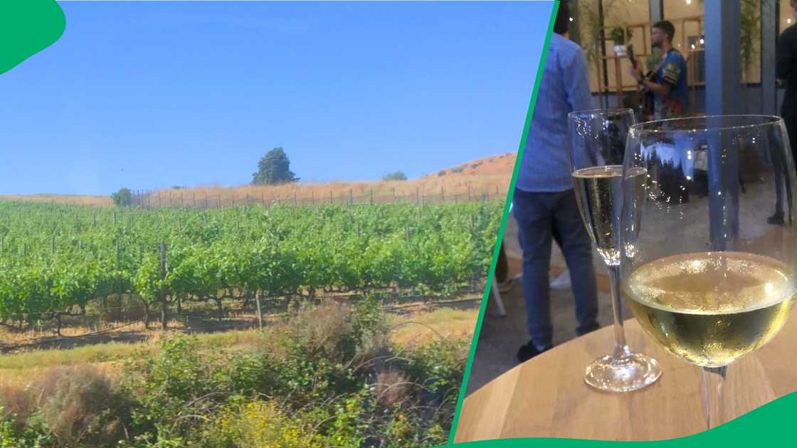 Wine tasting with Exness