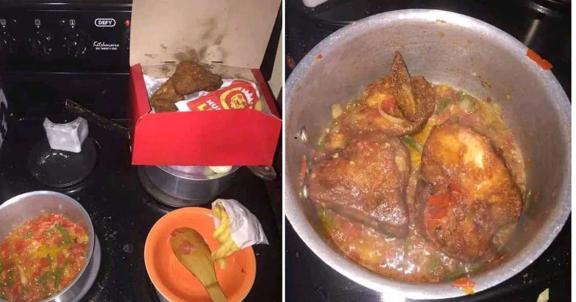 Laughing Out Loud: Social Media Reacts to Bizarre Hungry Lion Chicken Stew Creation Laughing Out Loud: Social Media Reacts to Bizarre Hungry Lion Chicken Stew Creation