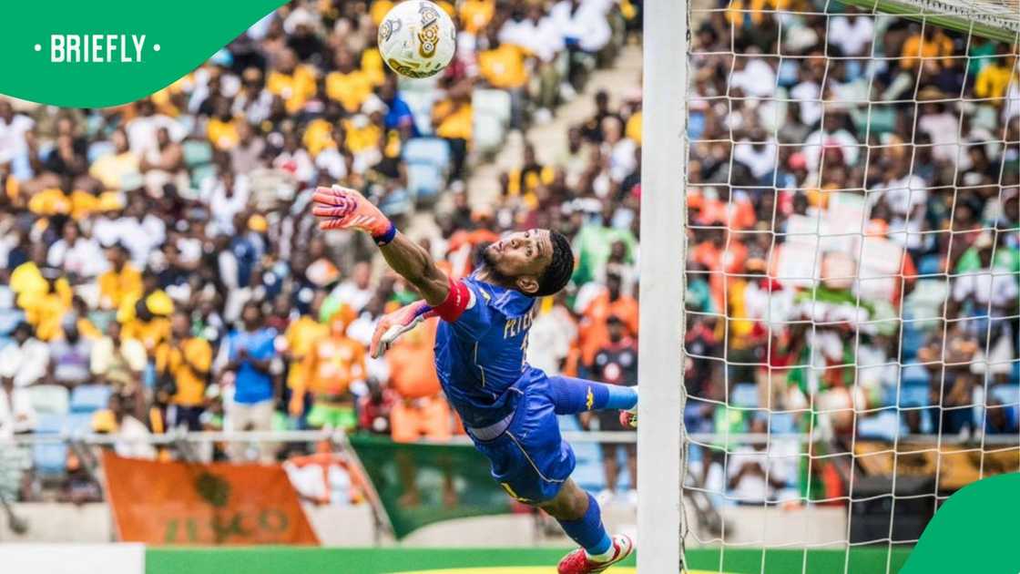 Kaizer Chiefs, Brandon Petersen Kaizer Chiefs, Brandon Petersen