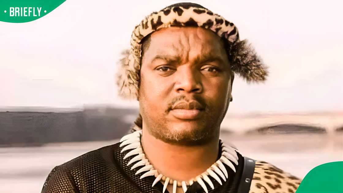 Mzansi questioned Ngizwe Mchunu's video Mzansi questioned Ngizwe Mchunu's video