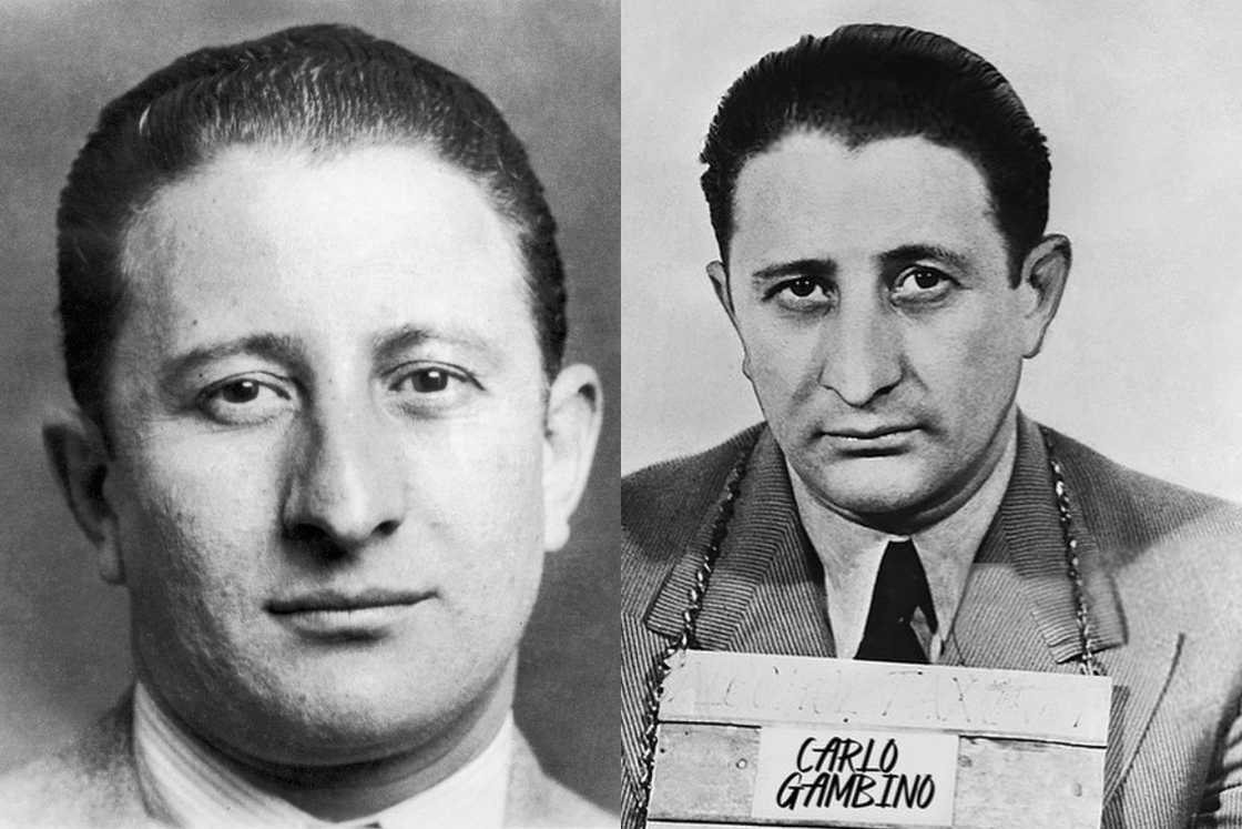 Carlo Gambino Carlo Gambino