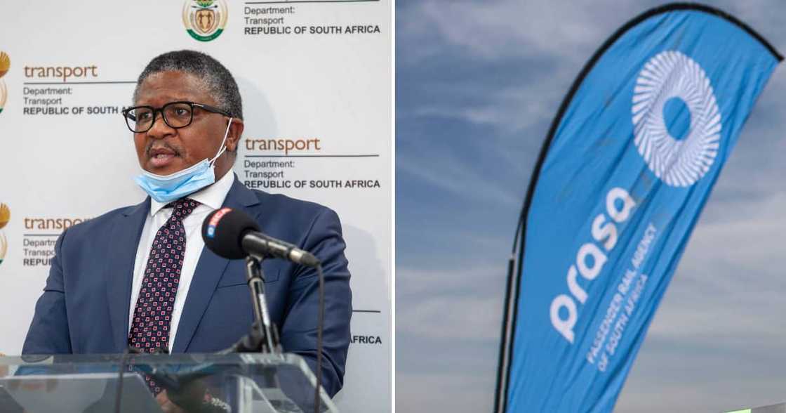 Minister of Transport Fikile Mbalula