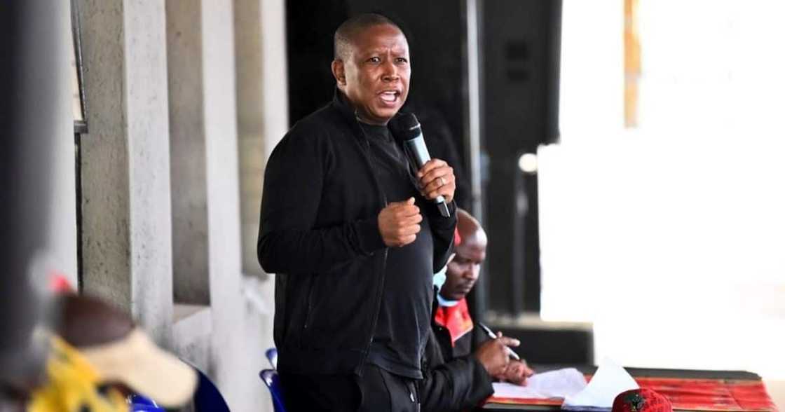 EFF leader Julius Malema has vowed to give South Africans decent life. Image: @Julius_S_Malema/Twitter EFF leader Julius Malema has vowed to give South Africans decent life. Image: @Julius_S_Malema/Twitter