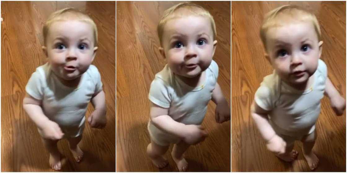 Moment toddler tries to tell his mum 'who let the dogs out' sends social media into frenzy, see how he said those words Moment toddler tries to tell his mum 'who let the dogs out' sends social media into frenzy, see how he said those words