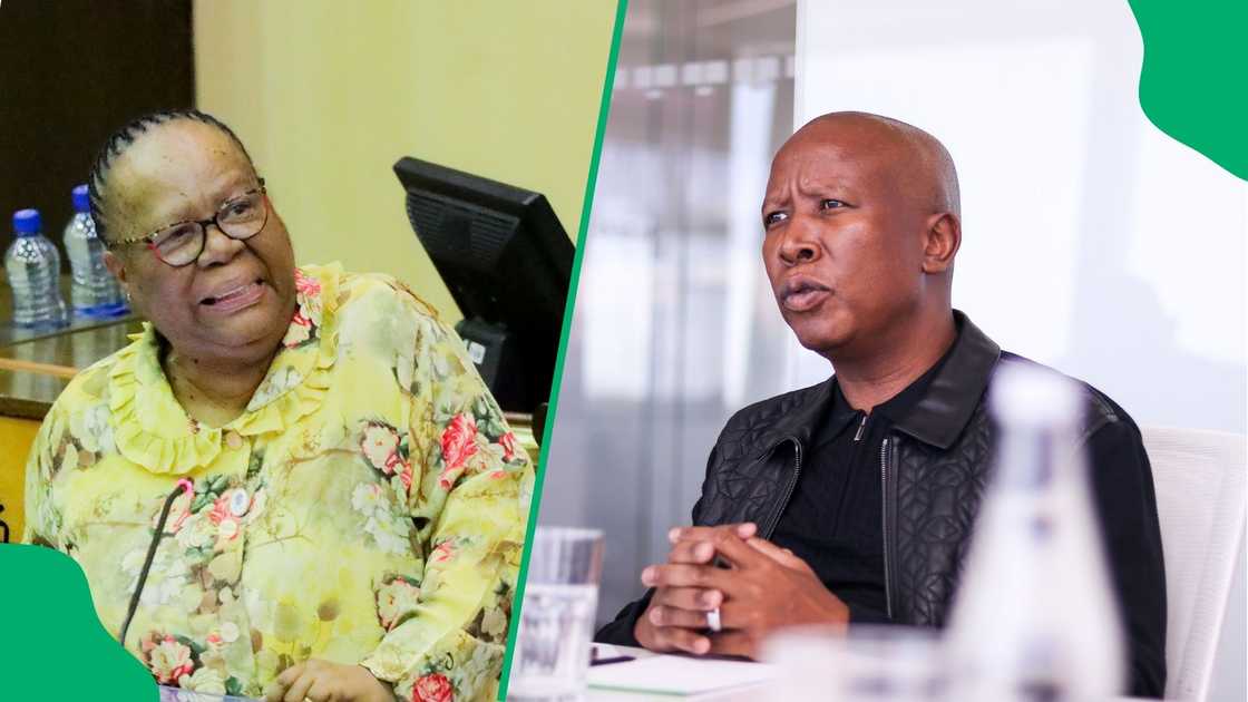 Dr Naledi Pandor is surprised by Julius Malema's allegations. Dr Naledi Pandor is surprised by Julius Malema's allegations.