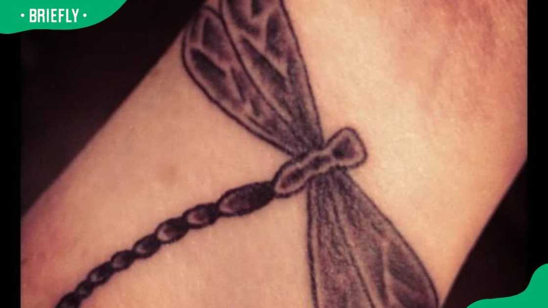 Celtic knot dragonfly tattoo Celtic knot dragonfly tattoo