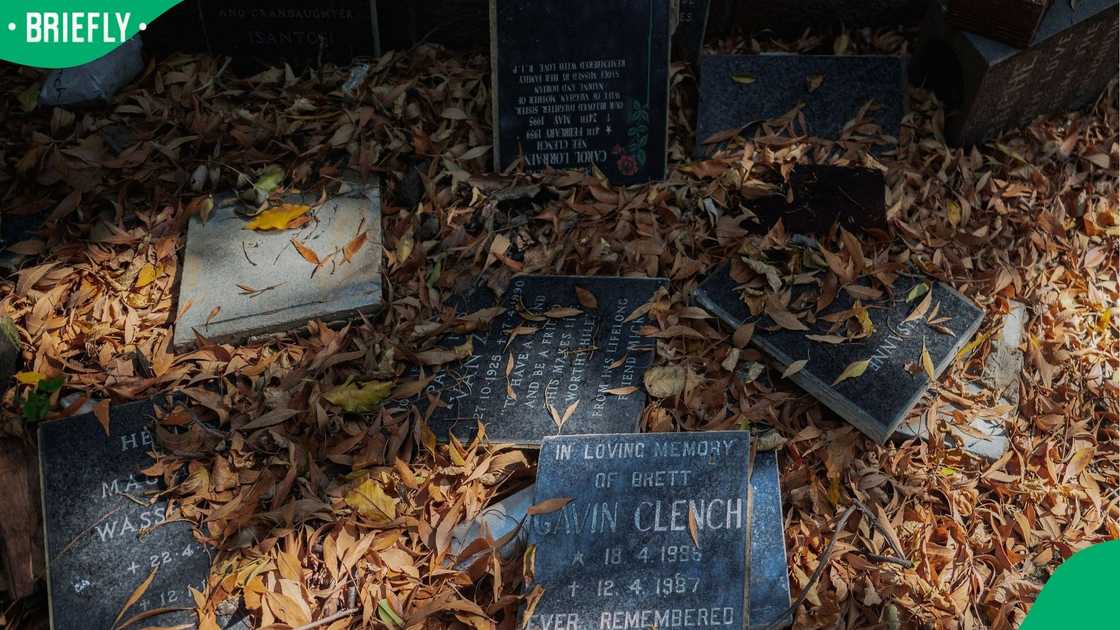 The City of Johannesburg condemned the theft and vandalism of tombstones
