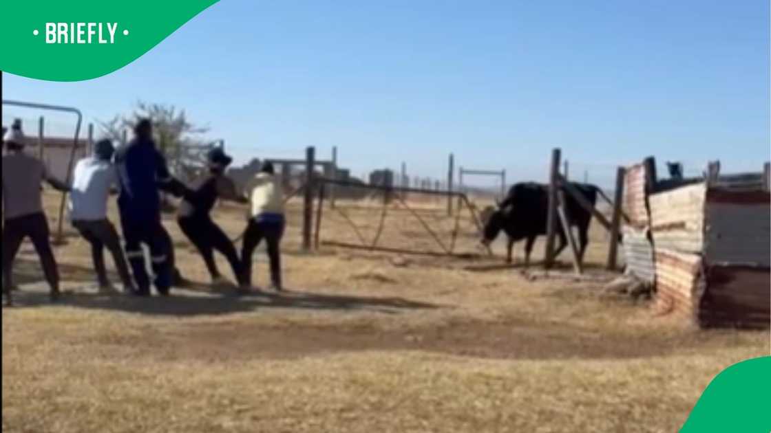 A video went viral. A video went viral.