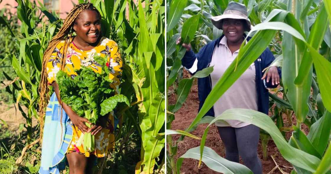 A happy farmer who left the accounting field to work in the agricultural sector