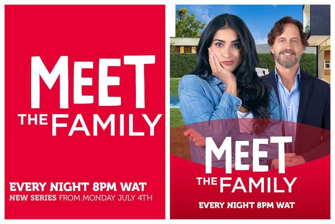 Meet the Family episodes Meet the Family episodes