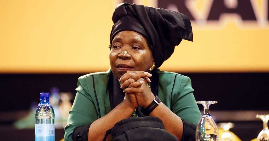 Cogta United nations deal, Nkosazana Dlamini-Zuma reveals