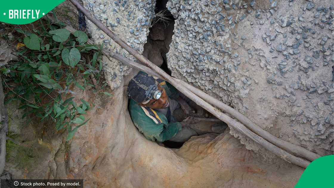 14 illegal miners were killed in the North West