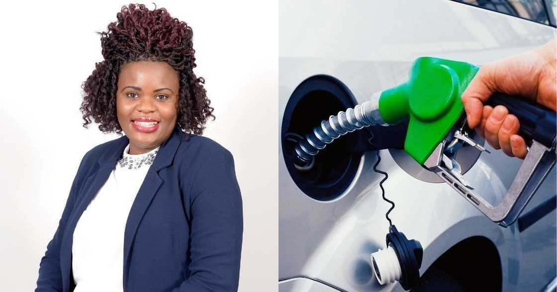 foreign investment, curb, negative impact, fuel hikes, SA foreign investment, curb, negative impact, fuel hikes, SA