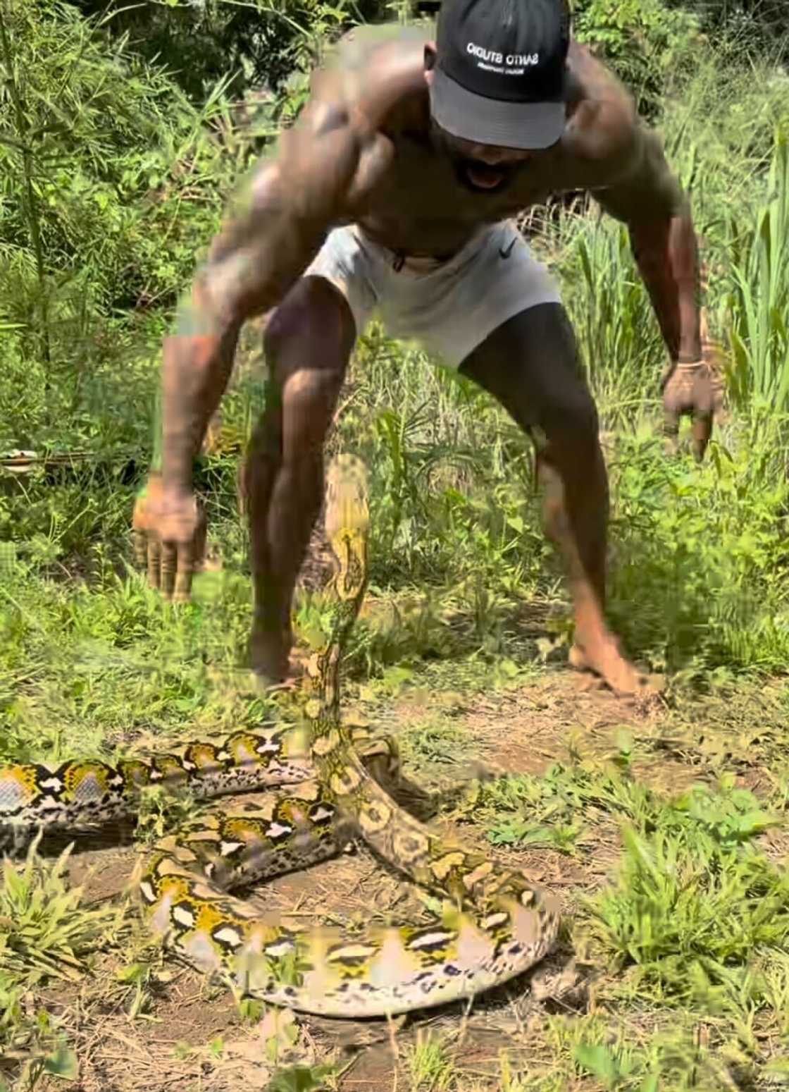 A man in the forest comes face to face with a massive snake in a video.