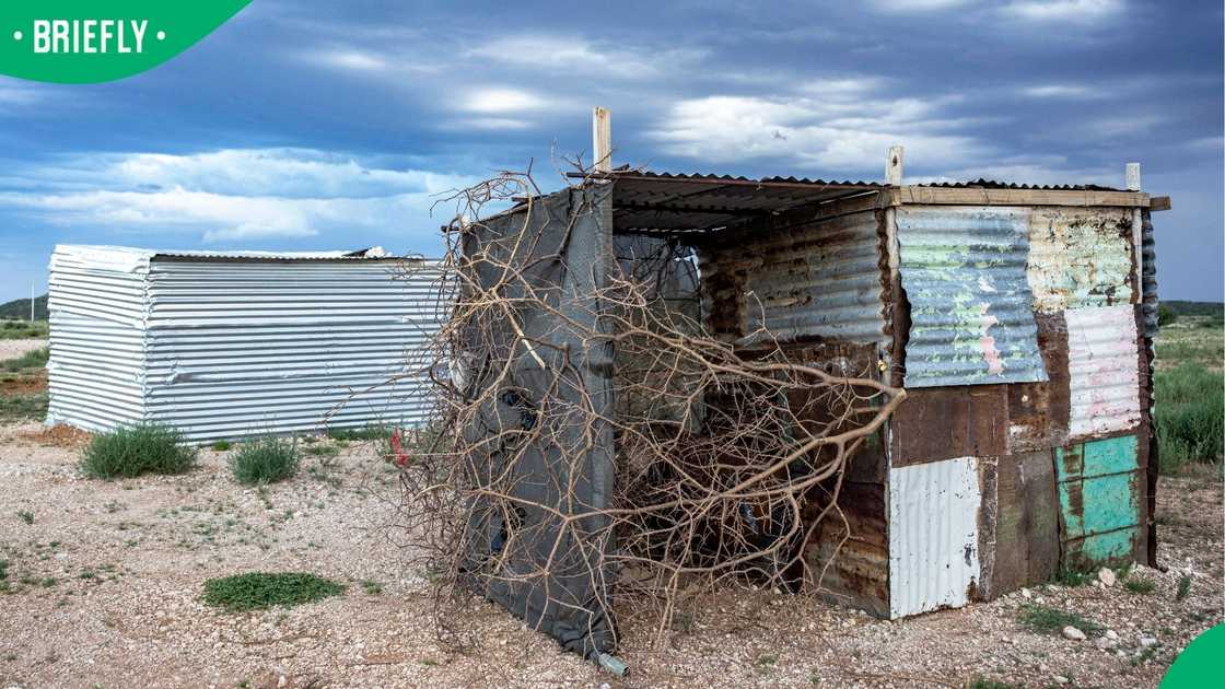 Shacks
