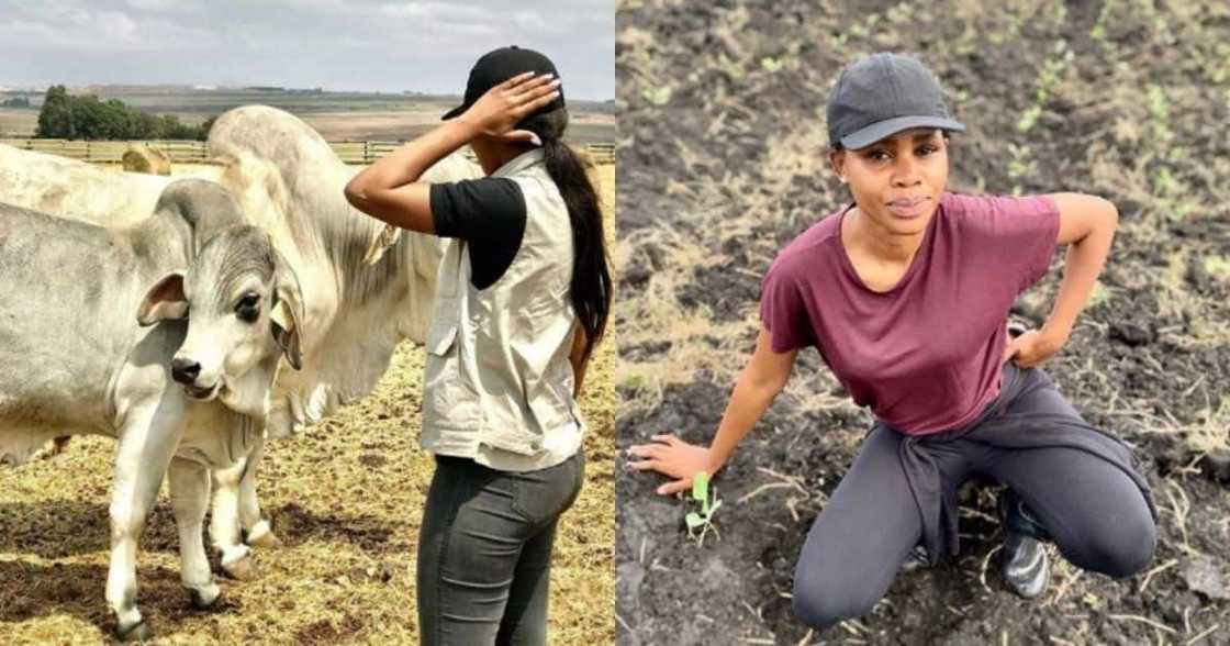 Stunning lady, 27, inspires Mzansi, farming Stunning lady, 27, inspires Mzansi, farming
