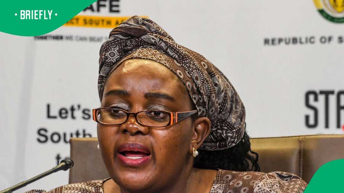 The Minister of Human Settlements Mamoloko Kubayi is concerned that home loans are being rejected