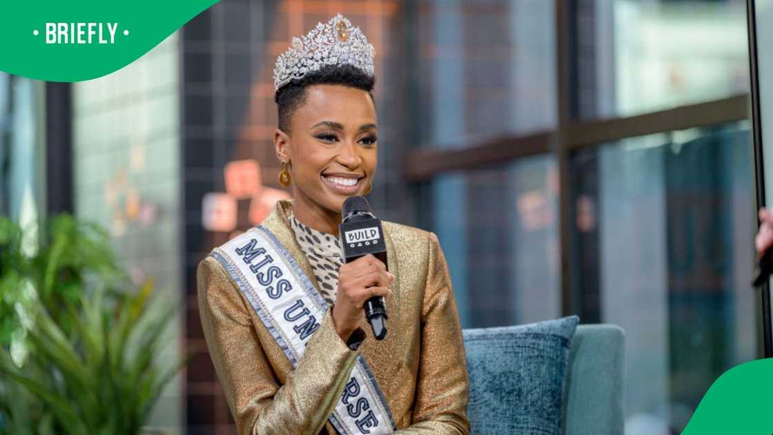 Zozibini Tunzi stuns with new hairsyle Zozibini Tunzi stuns with new hairsyle