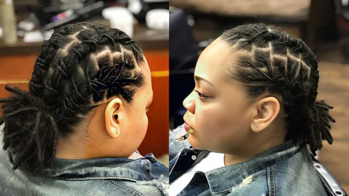 Cornrows-plaited dreadlocks Cornrows-plaited dreadlocks