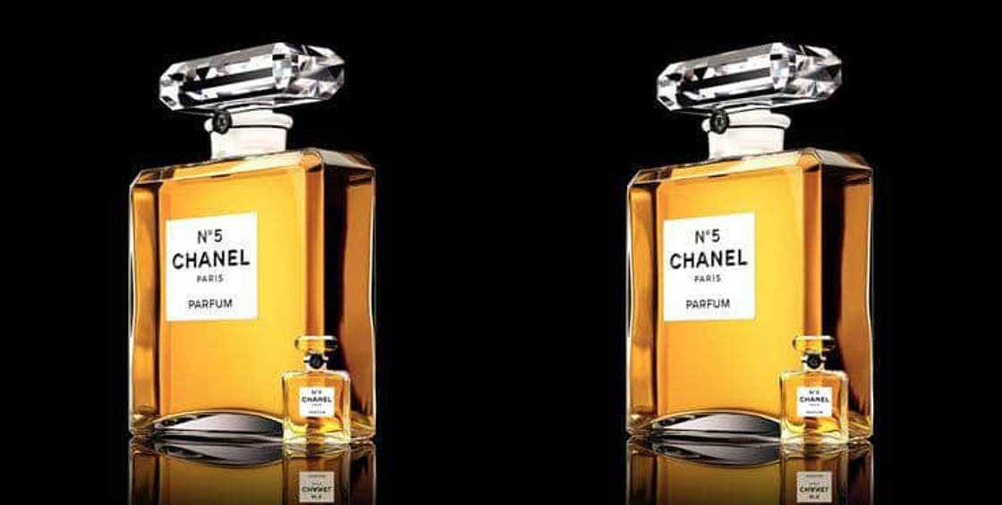 Top 10 most expensive cologne in the world