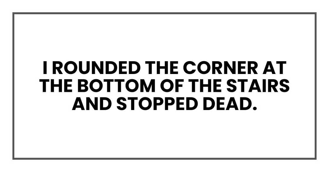 I rounded the corner at the bottom of the stairs and stopped dead. I rounded the corner at the bottom of the stairs and stopped dead.