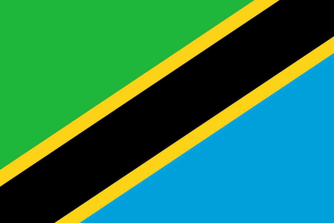 The flag of Tanzania