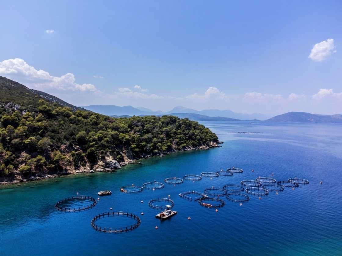 Some fishermen see the plan as 'a necessary evil' -- as long as they do not encroach upon tourist areas Some fishermen see the plan as 'a necessary evil' -- as long as they do not encroach upon tourist areas