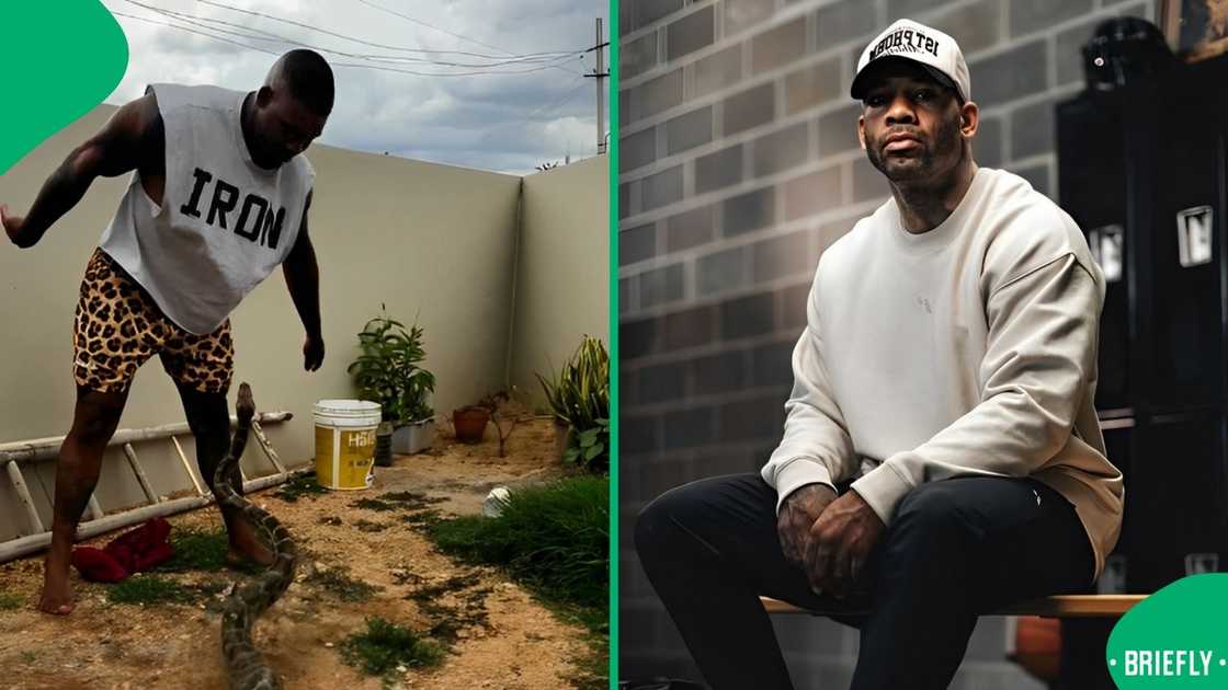 A man caught a massive snake. A man caught a massive snake.