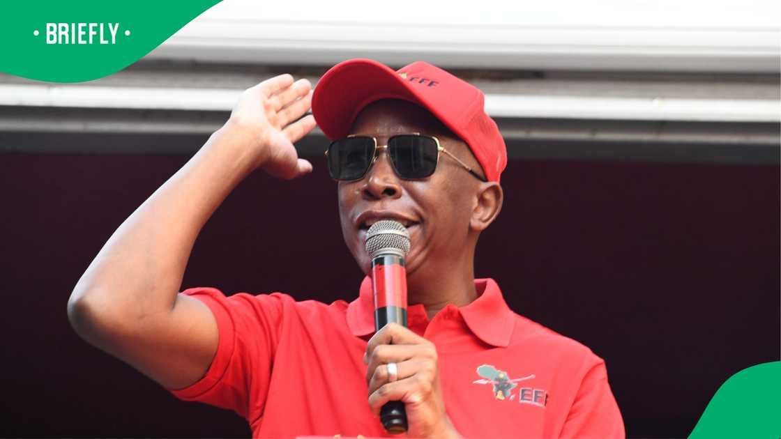 Julius Malema Calls for the DA to Leave the GNU, South Africans Say He Wants a Piece of the Pie Julius Malema Calls for the DA to Leave the GNU, South Africans Say He Wants a Piece of the Pie