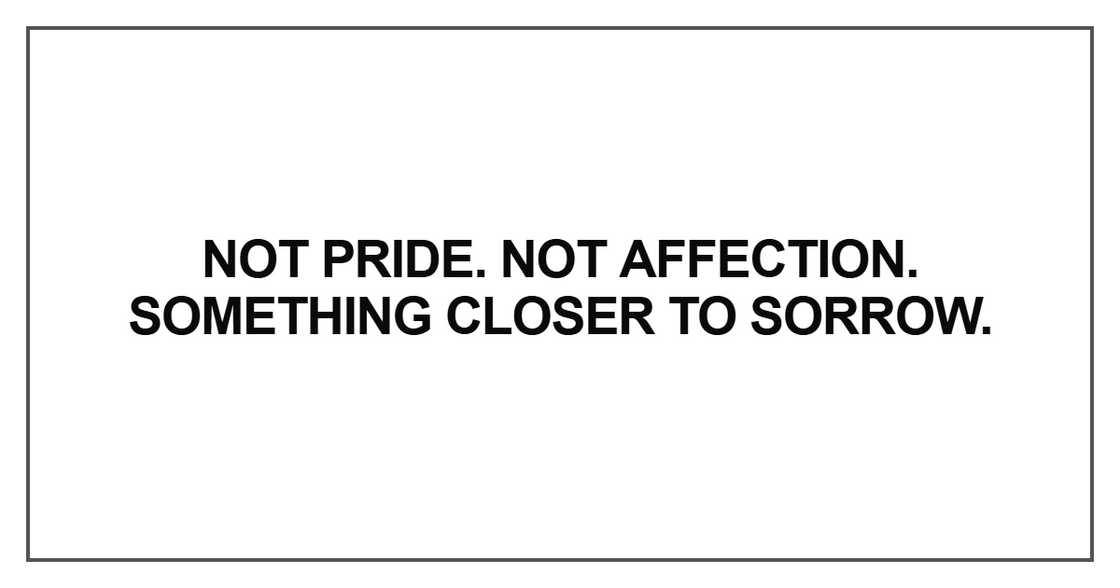 Not pride. Not affection. Something closer to sorrow