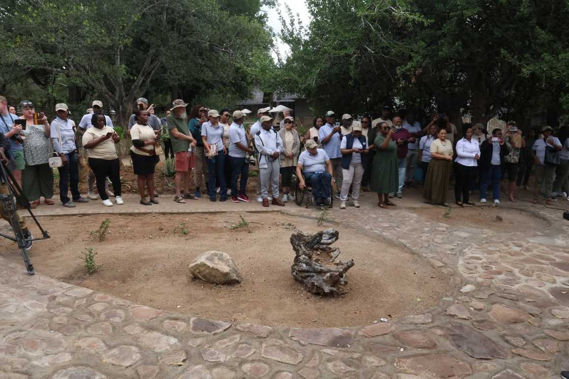 Viewers celebrated the milestone and wished the national park many incident-free years