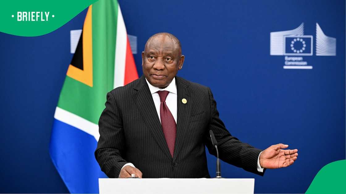 Mbalula has warned that South Africa could have descend into chaos Mbalula has warned that South Africa could have descend into chaos