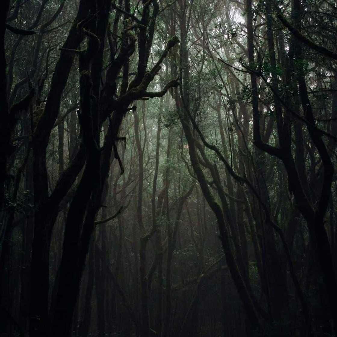 Most haunted place in the world Most haunted place in the world