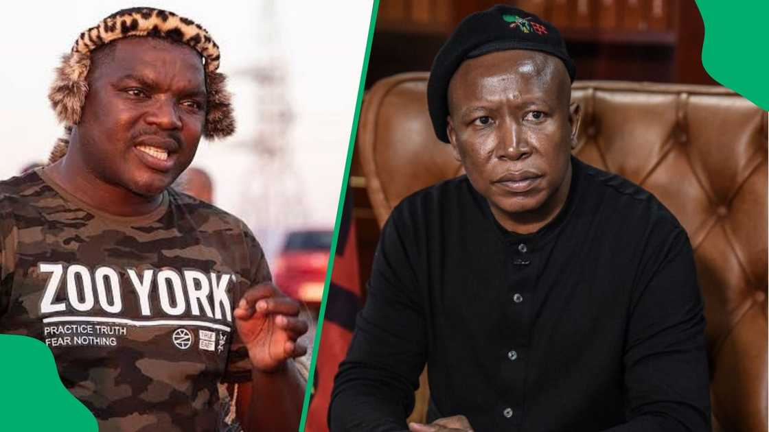 Ngizwe Mchunu fires back after Julius Malema demands apology Ngizwe Mchunu fires back after Julius Malema demands apology