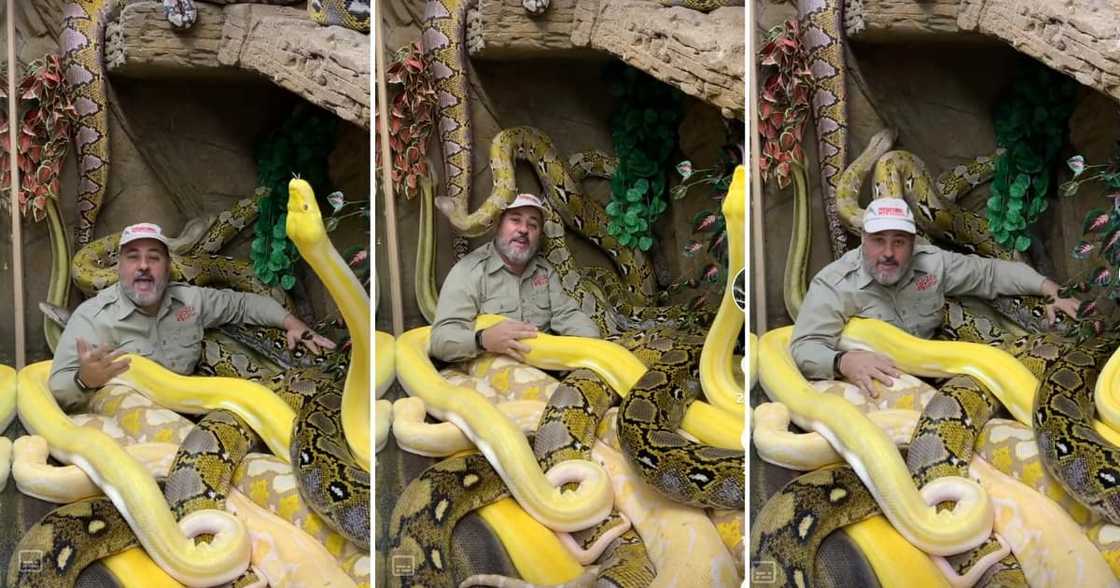 Video of a man sitting in a snake pit Video of a man sitting in a snake pit