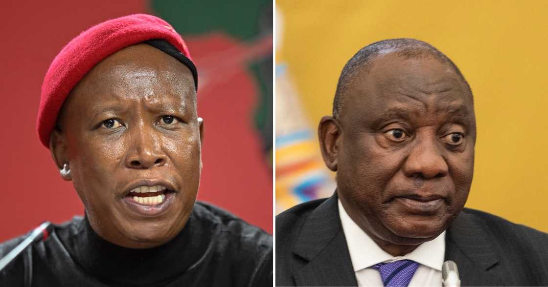 Julius Malema, EFF, video of Ramaphosa, counting hard cash, could be leaked Julius Malema, EFF, video of Ramaphosa, counting hard cash, could be leaked