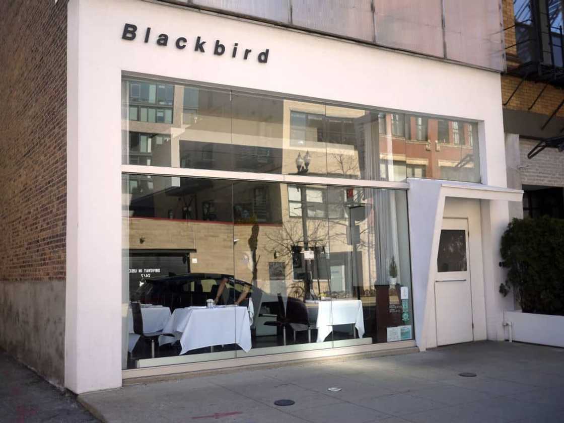 High end restaurant High end restaurant