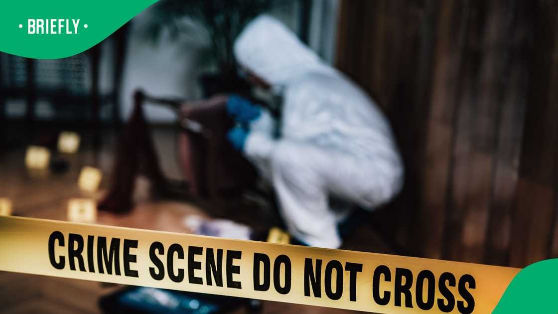 Two people were killed when two suspects robbed a bus on the N1 in Limpopo Two people were killed when two suspects robbed a bus on the N1 in Limpopo
