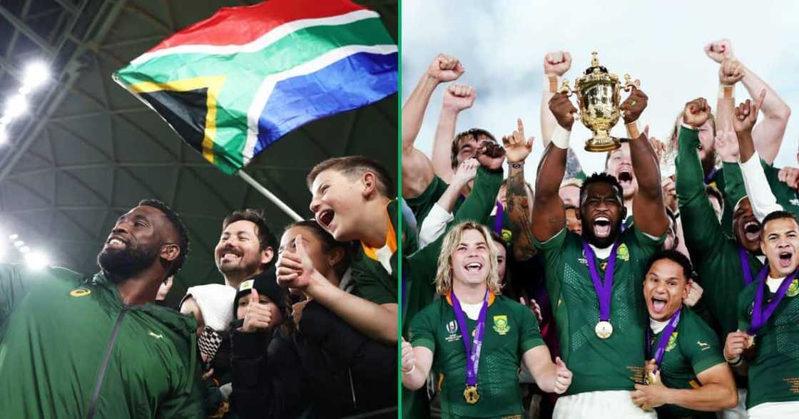 Springboks documentary confirmed for next year Springboks documentary confirmed for next year