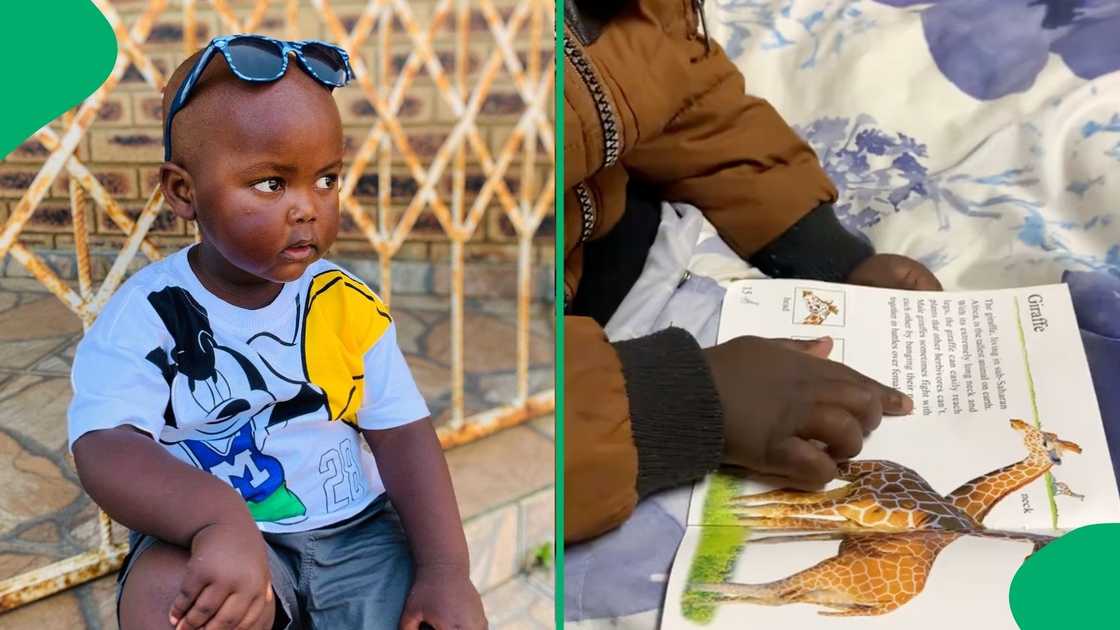 A toddler was captured making up a story based on book pictures