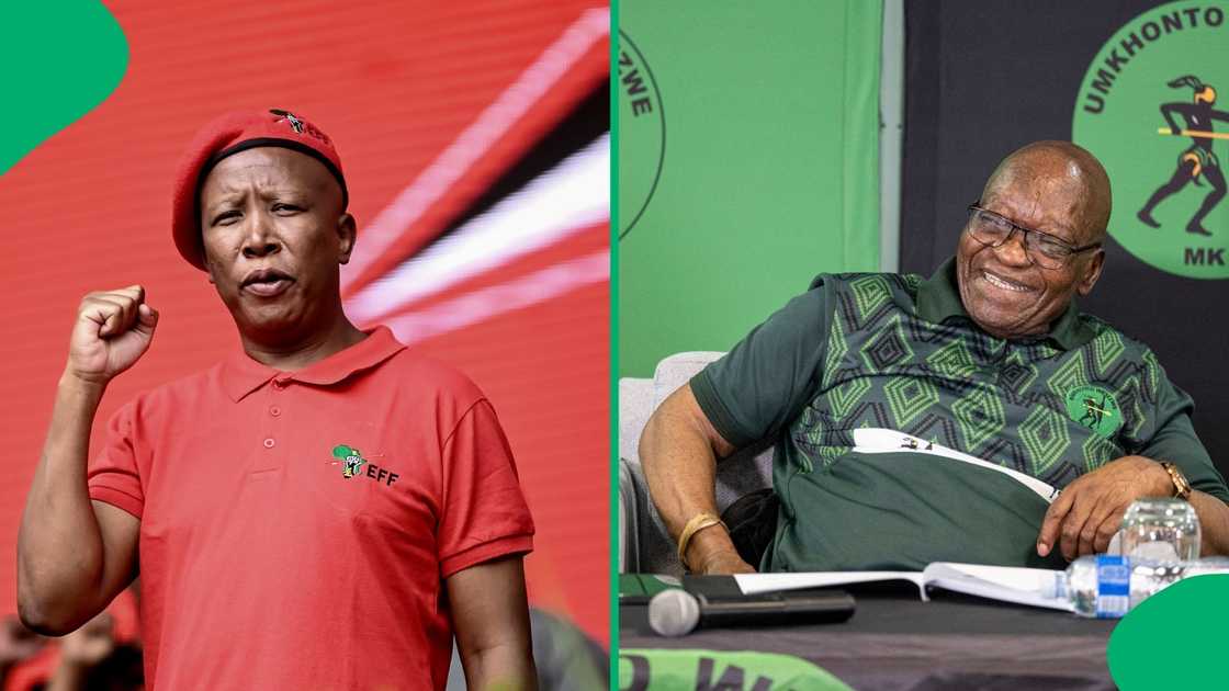 Julius Malema criticised Jacob Zuma.