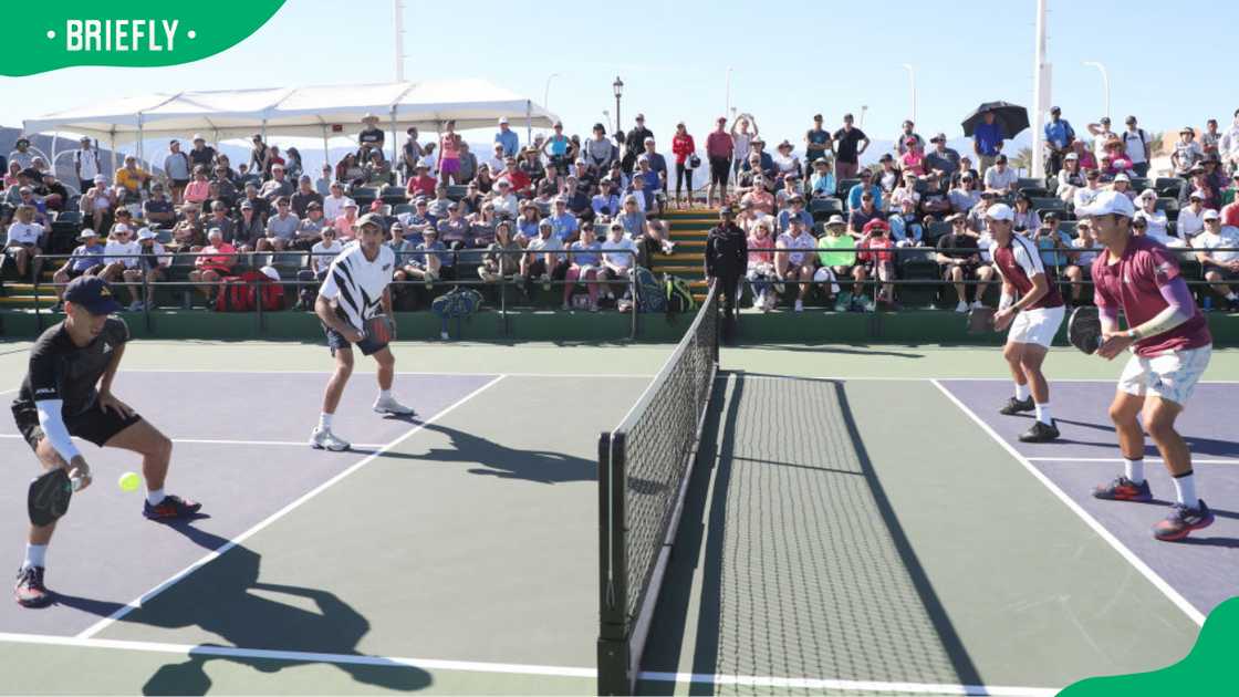 Is pickleball a professional sport?