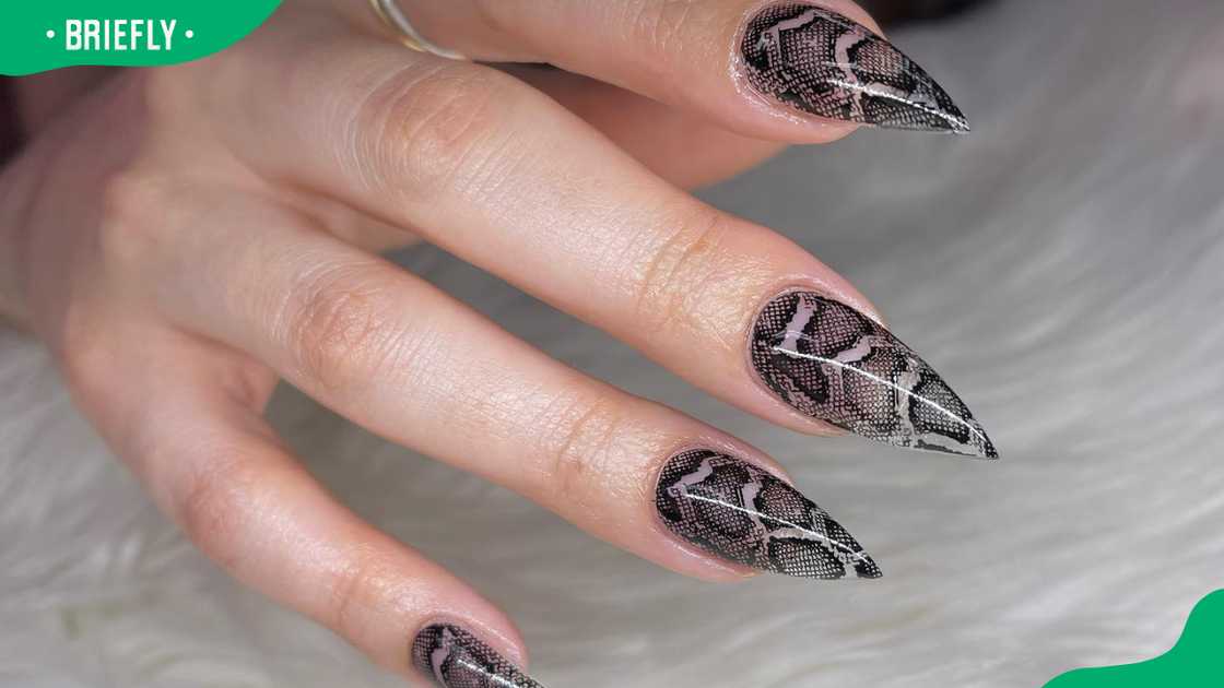 Snakeskin design Snakeskin design